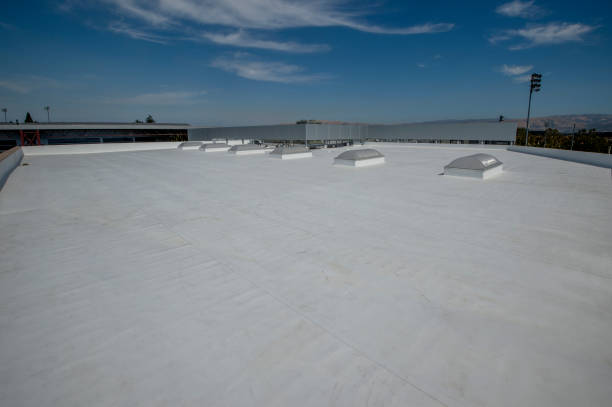Best Flat Roofing  in Dulce, NM