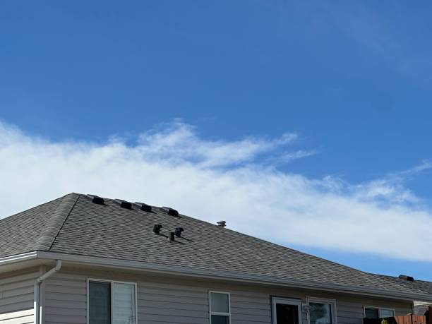 Best 4 Ply Roofing  in Dulce, NM